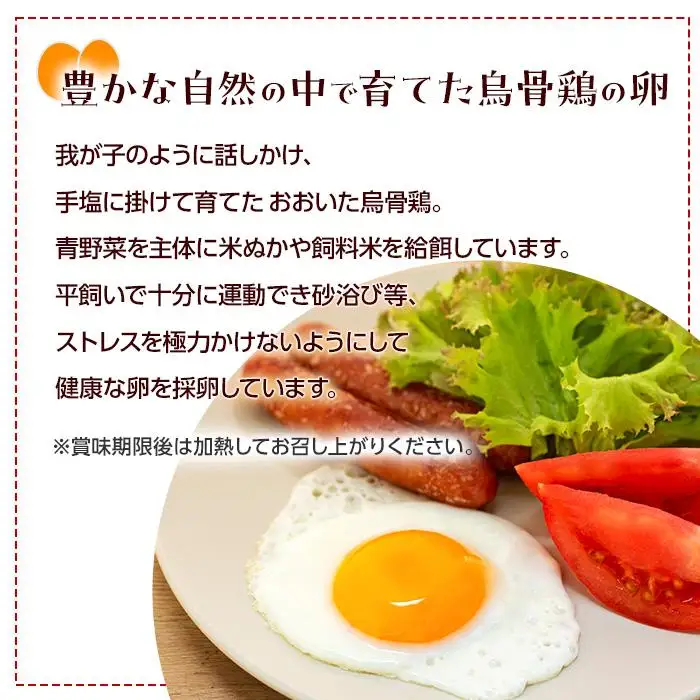 【定期便 全6回】大分うこっけい卵　生食用20個（10個×2）×6回