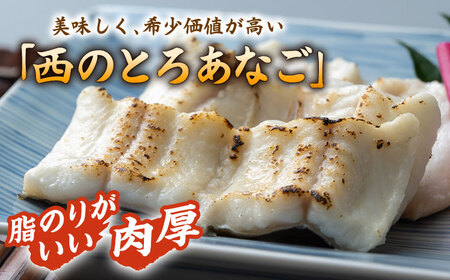 【全3回定期便】対馬産 穴子 詰め合わせ 15PAC [WAV006] 対馬 新鮮 とろ あなご 煮穴子 冷凍 海鮮 