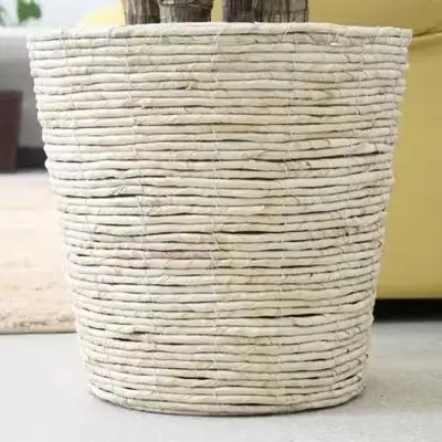 【観葉植物】幸福の木 7号 ホワイトバスケット鉢カバー 高さ：約75cm～90cm内外(鉢底より) 土の表面：ウッドチップ【観葉植物 インテリア 部屋 おしゃれ 福岡県 筑前町 送料無料 AG001】