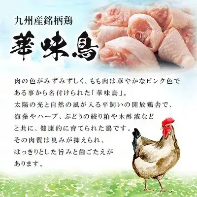 博多華味鳥 水たきセット 6～8人前 H-B1【水炊き 鍋 鶏肉 お肉 とりにく 有名店 食品 福岡名物 人気 おすすめ 送料無料 はなみどり ギフト 福岡県 筑前町 AS001】