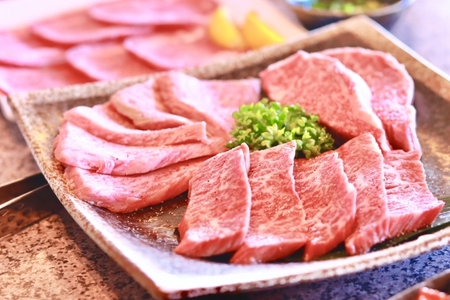 【近江牛【瑠璃色の会】全10回】肉 牛肉 ブランド牛 三大和牛 和牛 黒毛和牛 贈り物 ギフト プレゼント 滋賀県 竜王