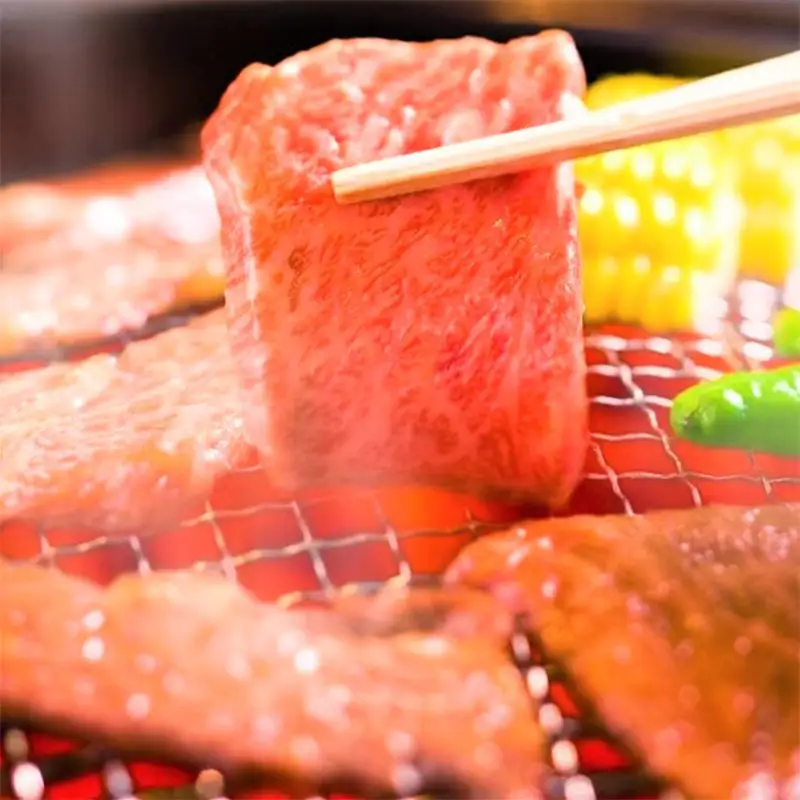 訳あり！艶さし！【A4～A5】佐賀牛焼肉切り落とし 500g