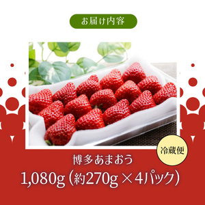 【12月中旬より順次発送】農家直送 朝採り新鮮いちご【博多あまおう】約270g×4パック_いちご 博多 あまおう 農家直送 約 270g × 4パック 朝採り 新鮮 果物 フルーツ ストロべリー 冷蔵 食品 食べ物 おやつ スイーツ スムージー ジャム お菓子作り お取り寄せ お取り寄せフルーツ 福岡県 久留米市 送料無料 〔Fi060〕