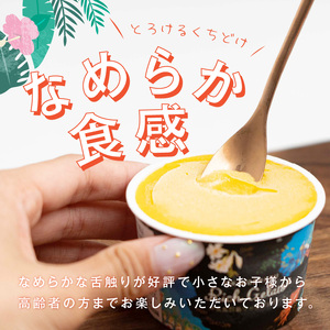 沖永良部島リッチジェラート(マンゴー味)6個セット W009-080u 冷凍 スイーツ