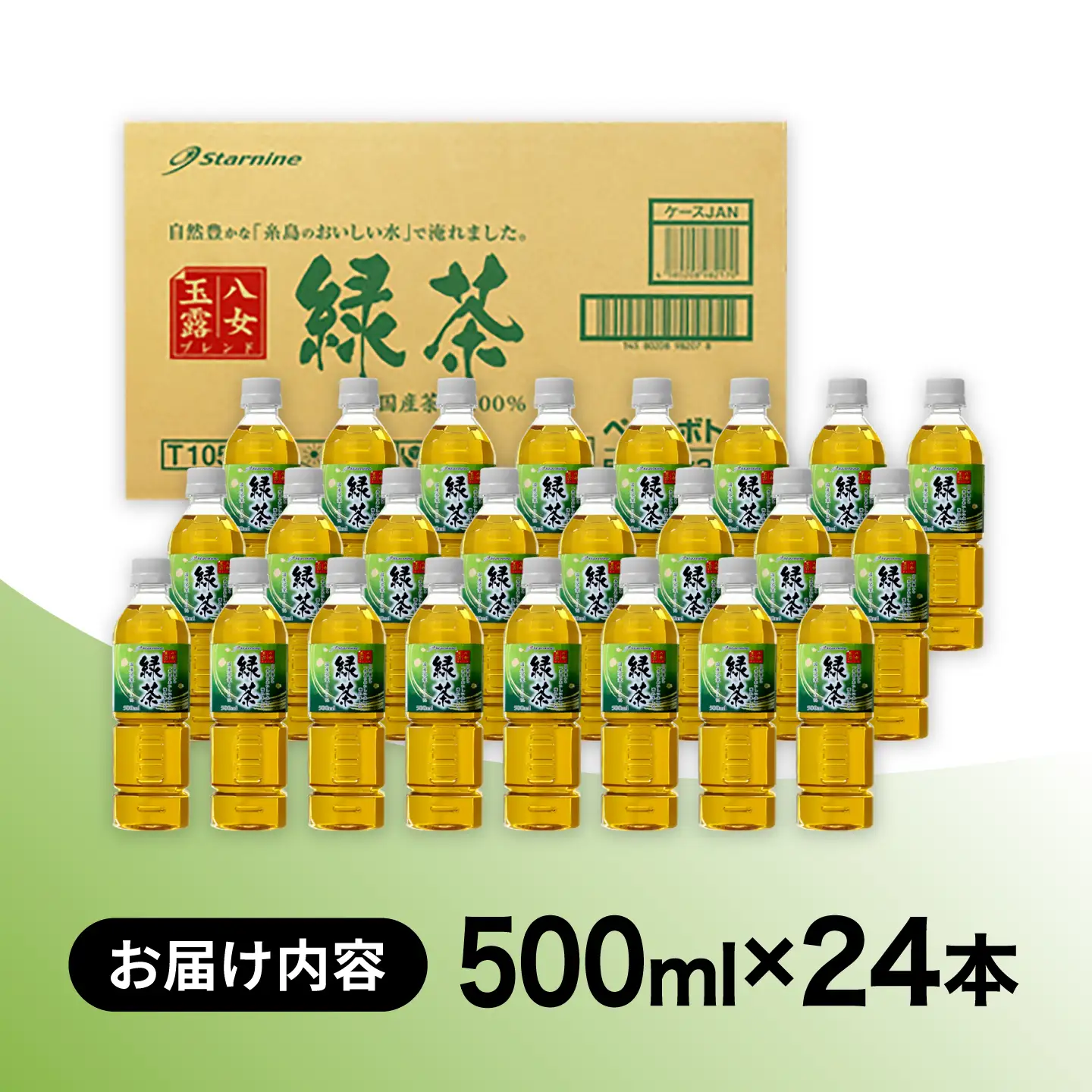 緑茶 ペットボトル 500ml 24本 八女玉露入り緑茶 お茶 [ARM004]