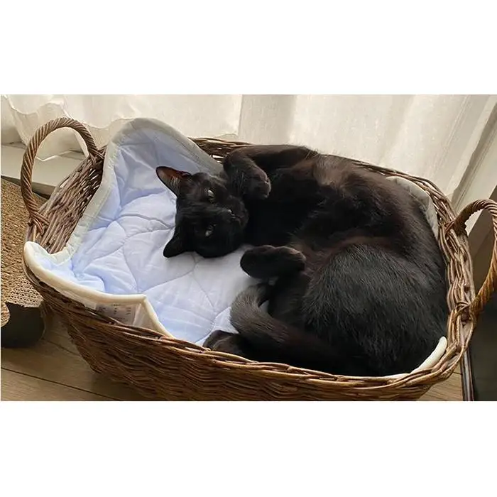 【XS40×30cm】2枚組コットン100%ペット用マット PET-4030-2P