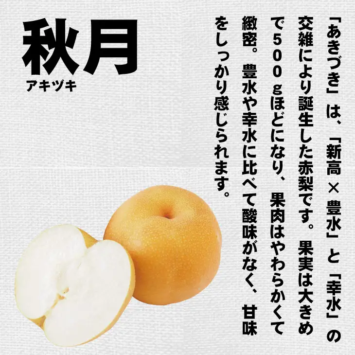 【先行予約】あきづき「秋月」 梨 5kg 親子三世代 農家 合六果樹園 梨 果物 フルーツ B140-017 