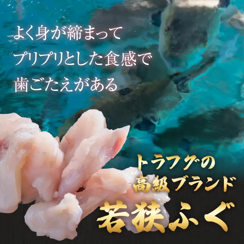 【先行予約】【国産とらふぐ】ふぐ刺身鍋セット 5-6人前 北陸 福井 家庭用
