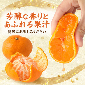 むなかた温州みかん 3kg 【2026年10月下旬～12月発送】【JAほたるの里】_HA1346