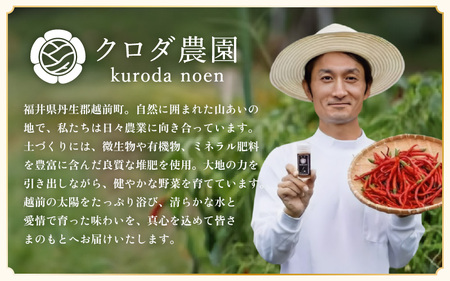 農園直送！しっかり辛くて香り高い国産一味唐辛子15g × 3本 [e62-a011]