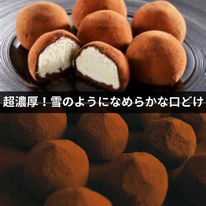チョコレート ショコラトリュフ ココア スイーツ 生洋菓子  新潟県 南魚沼市 ナトゥーラ 濃厚ひんやり ユキノトリュフ 計3箱　|  スイーツ