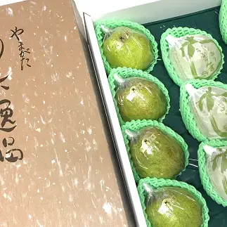 【令和8年産先行予約】 【市農業祭最優秀賞受賞者】 ラ・フランス 約5kg (8～12玉 特選 5～6L) 《令和8年11月上旬～発送》 『長谷部農園』 洋梨 梨 果物 フルーツ 山形県 南陽市 [1098]