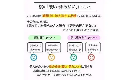 【令和8年産先行予約】 《定期便4回》 JA 夏秋冬人気フルーツ定期便 『JA山形おきたま』 山形県 南陽市 [1492]