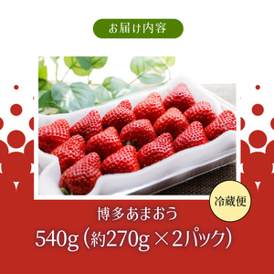 【2027年2月より順次発送】農家直送 朝採り新鮮いちご 【博多あまおう】約270g×2パック_ 〔Fi062〕