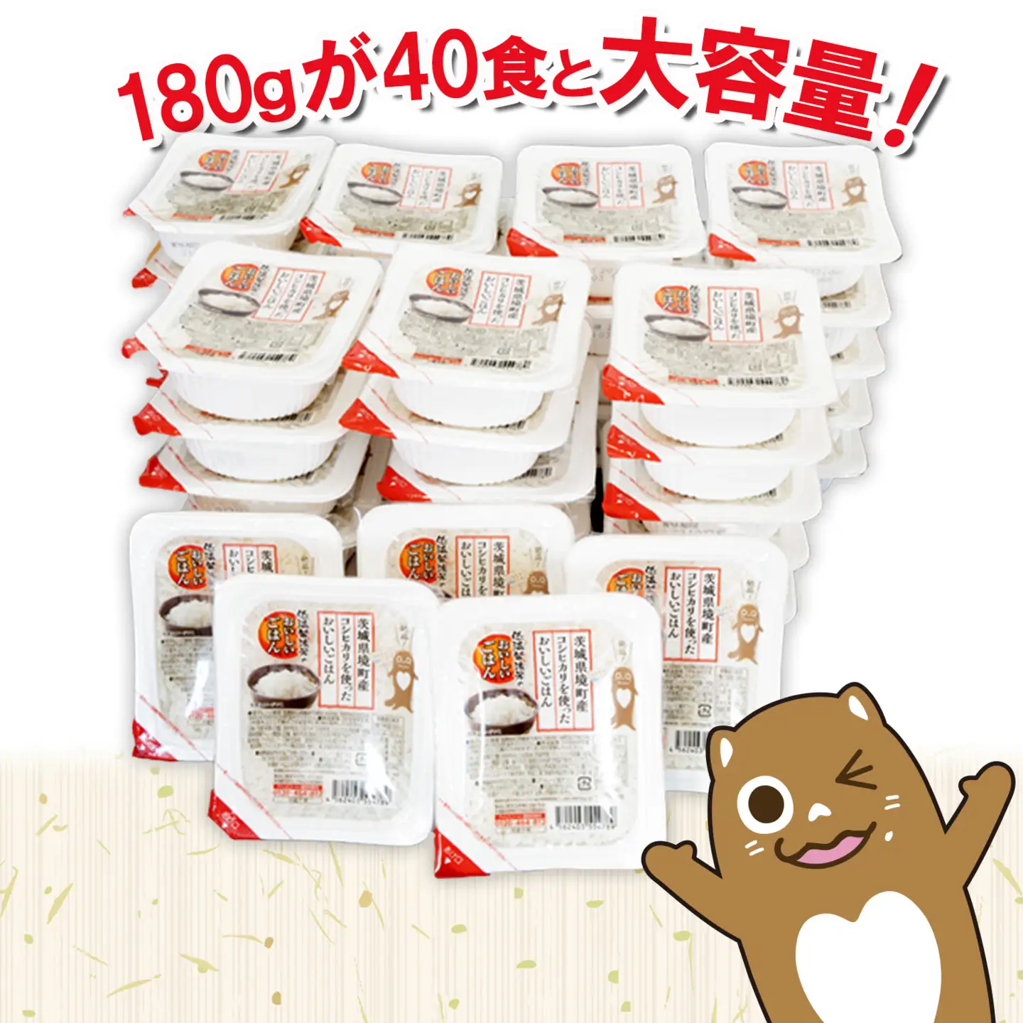 訳あり パックごはん コシヒカリ 米 40食 K1464