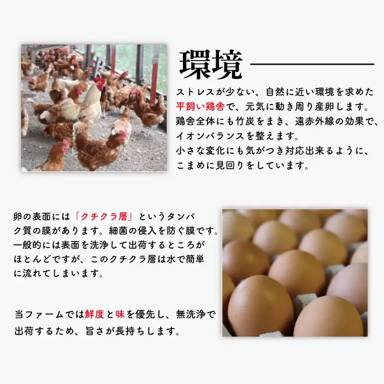 平飼いたまご 20個 高橋ファームの丈夫卵 もみじ AQ001