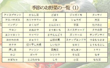 国産『季節の野菜詰め合わせセットA』15種類以上の新鮮な野菜をお届け！ TF0668-P00055