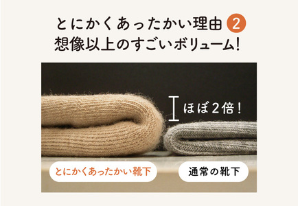 とにかくあったかい靴下 女性用（22〜24cm）【グレー】くつ下 レディース