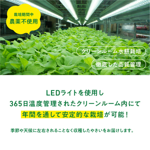 931 マイクロリーフミックス【40ｇ】＆エディブルフラワーミックス【20輪】セット