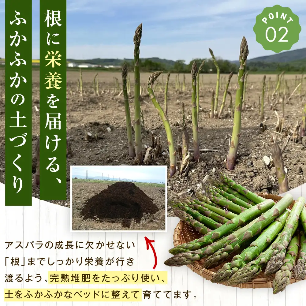 高評価★4.8【2027年先行予約】露地物朝採りアスパラ 2L～3Lサイズ800g（400g×2）鮮度保持フィルム入り（5月中旬発送開始予定）| アスパラ 北海道 _01593