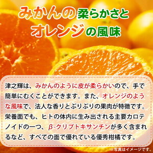 【2027年先行予約】和歌山産 津之輝 (つのかがやき) 5kg_G7057