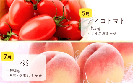 和歌山の旬の果実を 奇数月にお届け全6回定期便【TM49】【TM92156-tkb】