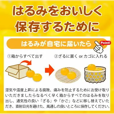 【2027年先行予約】果肉ぷりぷり! 完熟 はるみ 5kg_G7056