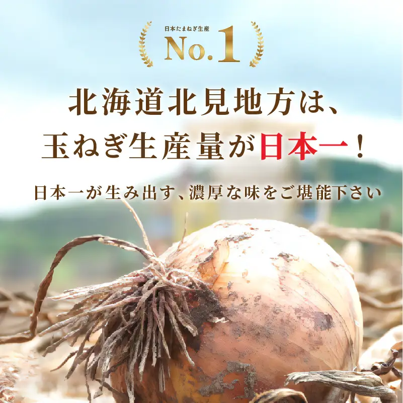 《7営業日以内に発送》大地の恵み北海道オニオンスープ 12袋×2箱 ( スープ オニオンスープ 玉葱 タマネギ たまねぎ 即席 ふるさと納税 )【125-0118】