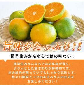  紀州和歌山有田産 ゆら早生みかん 10kg【ミカン 蜜柑 柑橘 温州みかん わせみかん】_G7098