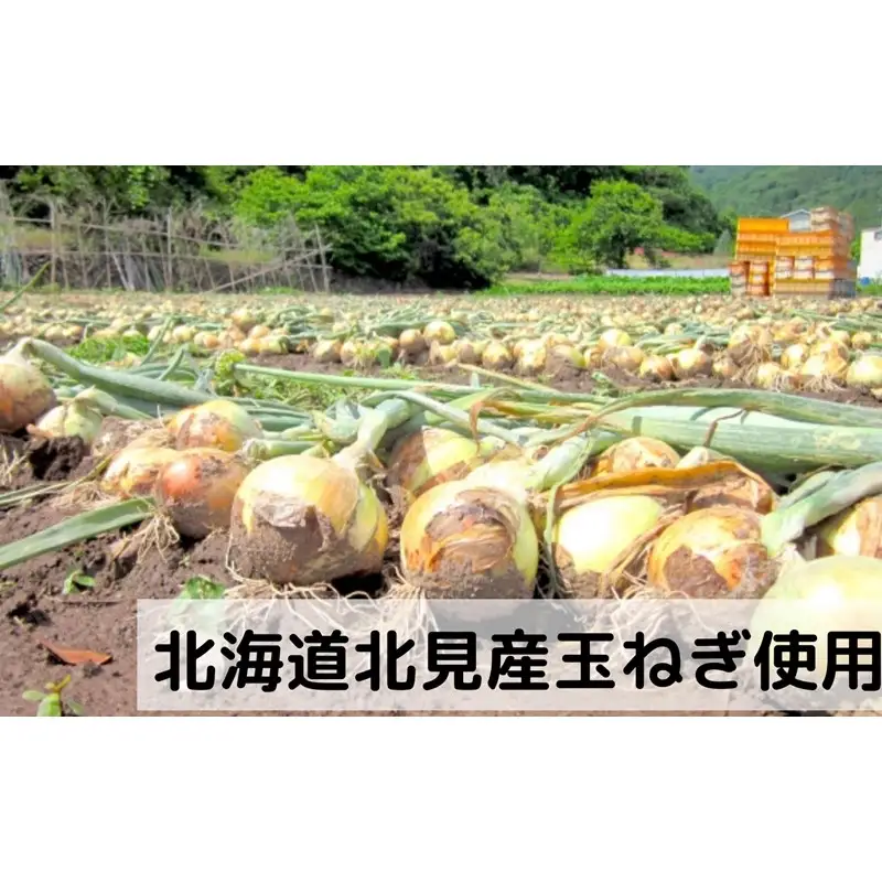 《14営業日以内に発送》大地の恵み北海道オニオンスープ 8袋×9箱 ( スープ オニオンスープ 玉葱 タマネギ たまねぎ 即席 ふるさと納税 )【125-0122】