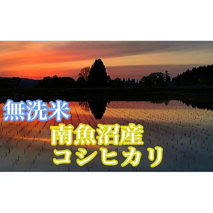 【令和7年】【定期便2kg×3ヶ月】●吟精 無洗米●南魚沼産コシヒカリ｜コシヒカリ