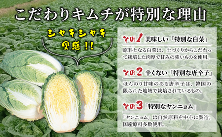 信州望月高原辛キムチ（3個セット）｜国産キムチ 白菜キムチ 発酵食品 漬物 信州キムチ 自家製キムチ 国産キムチ