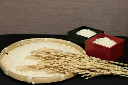 【山田錦】白米５kg（５kg×1袋）【５営業日以内に発送】