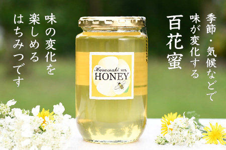 2025年産【数量限定】国産天然蜂蜜(初夏の蜜)500g&470g【合計970g】(H049117)
