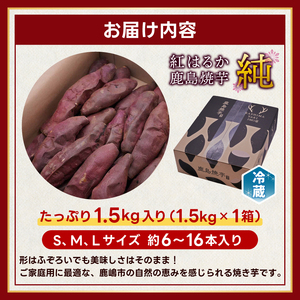【焼き芋】 紅はるか 冷やし焼き芋 1.5kg 冷蔵 焼芋