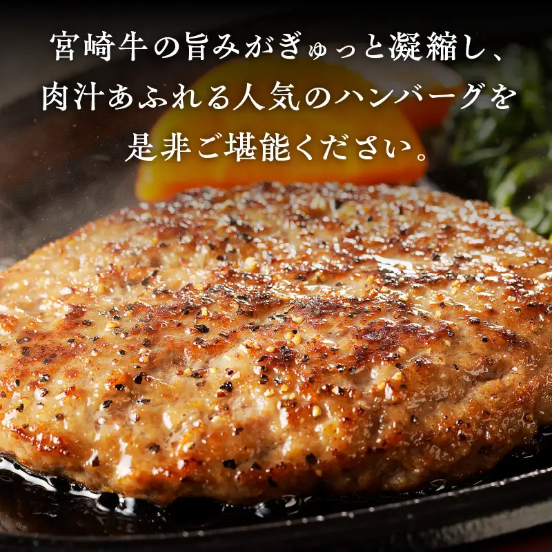 宮崎牛ペッパーハンバーグ 100ｇ 10個入