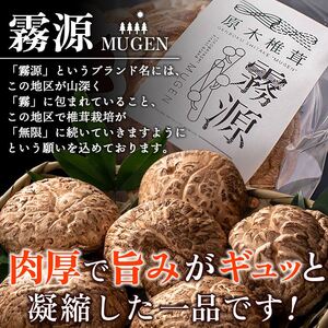 ブランド原木椎茸「霧源（MUgEN）」乾燥約150g（5～8枚）ご家庭用 NYJ0003