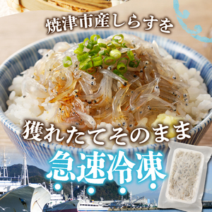 【定期便 3 】生しらす100g 6個×3回 (a30-234)