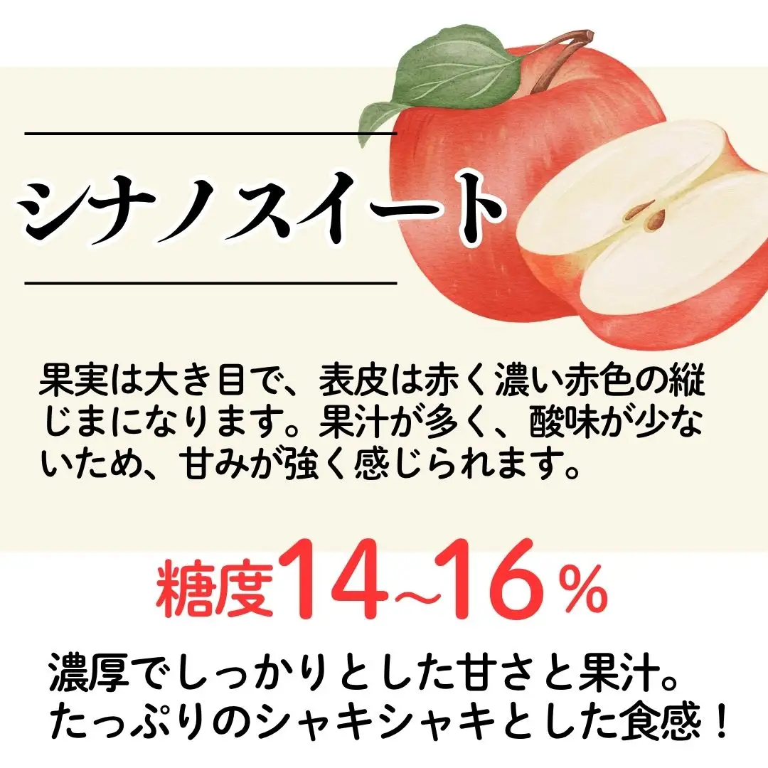 りんご シナノスイート 5kg 10月上旬以降発送| 新潟県 佐渡市 松丘農園 りんご