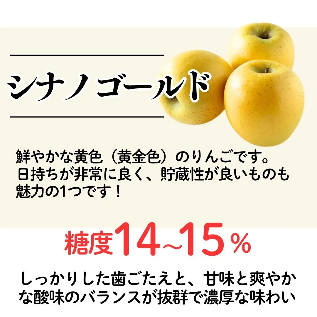 りんご シナノゴールド 5kg 10月上旬以降発送| 新潟県 佐渡市 松丘農園 りんご