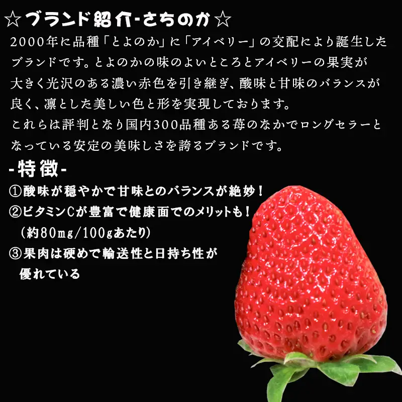 『先行予約』【令和9年1月より順次発送】濃厚苺 さちのか 250g×6パック(合計1.5k)
