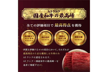 牛肉 定期便 3回 A5 ランク 米沢牛 切り落とし 700g すき焼き 焼肉 各500g 計1.7kg