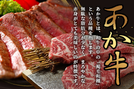 【定期便12回】あか牛ステーキ 12種 ＼＼極上／／ 食べ比べ！ 熊本県産 自社牧場 和牛 タレ付 豪華 希少 希少部位 シャトーブリアン サーロイン サーロインステーキ ランプ ランプステーキ 肩ロース ロース 肩ロースステーキ イチボ イチボステーキ 三角バラ バラ 三角バラステーキ カイノミ カイノミステーキ ミスジ ミスジステーキ クリミ クリミステーキ ザブトン ザブトンステーキ シャトーブリアンステーキ リブロース リブ リブロースステーキ モモステーキ モモ牛肉 お肉 肉 肉 和牛 国産 ステーキ ステーキセット あか牛ステーキセット あか牛食べ比べ ごちそう ご馳走 贅沢 1年 一年間 1年間 定期便 定期発送 定期 熊本県 熊本 046-0635
