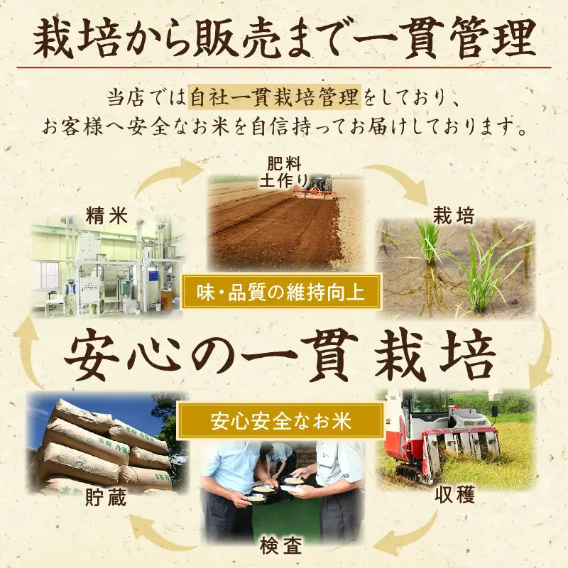 【無洗米】京丹後産コシヒカリ 3kg 無洗