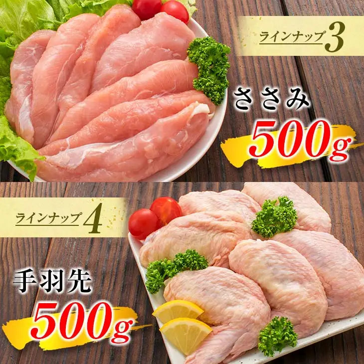 ≪様々な料理に大活躍!≫ 小分け 真空パック 鶏肉 バラエティ セット 合計3kg 鶏もも肉 鶏むね肉 ささみ 手羽先 手羽元 詰め合わせ 国産 肉 大満足 6種 食品 おかず からあげ BBQ 人気 おすすめ お弁当 万能食材 宮崎県 日南市 送料無料_BC123-25
