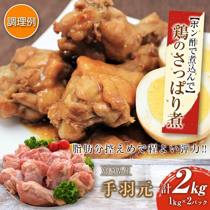 訳あり 数量限定 鶏肉 むね肉 手羽元 セット 合計4kg 国産 人気 チキン ムネ おかず お弁当 おつまみ 食品 万能食材 大容量 から揚げ 煮込み 焼肉 詰め合わせ 人気 おすすめ ギフト おすそ分け お取り寄せ グルメ 真空パック 宮崎県 日南市 送料無料_C143-25