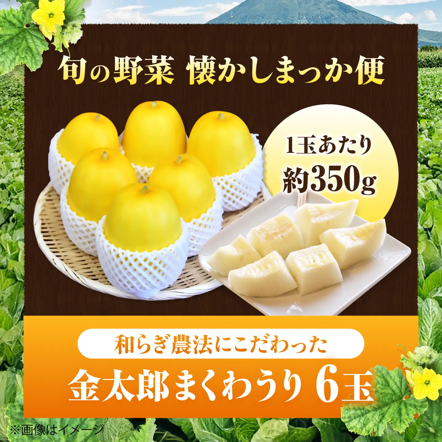 【2027年7月下旬より順次発送】旬の野菜 懐かしまっか便（栽培期間中、農薬・化学肥料・動物性堆肥不使用）/ まくわうり セット 詰め合わせ 新鮮 野菜 旬 / 滋賀県 栗東市 / ワダケン リアルソイルハウス [BIBM006]