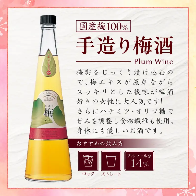 手造り梅酒 14% 720ml×2本セット 梅酒 酒 アルコール 梅酒セット セット 詰め合わせ ロック ストレート 贈答 贈答用 ギフト プレゼント お祝い 祝い 内祝い 記念日 誕生日 お取り寄せ グルメ 家飲み 宅飲み 飲み会 国産 宮崎県 高千穂町 _Tk007-028