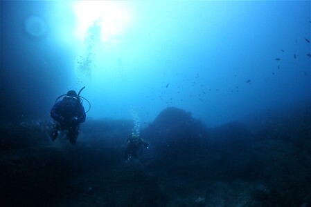 三浦半島城ヶ島でボートファンダイビング M064-003 チケット 体験