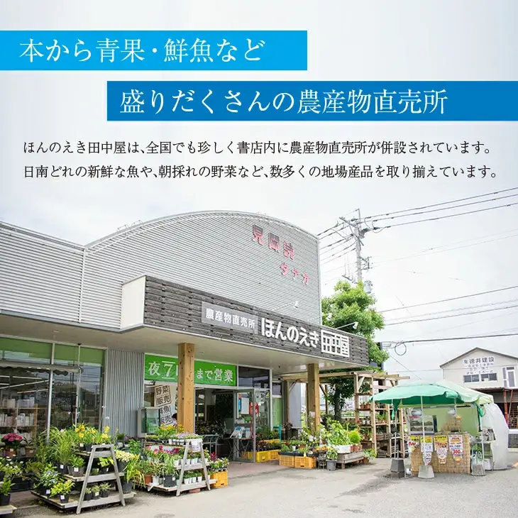 干物 マグロ 柵 お楽しみ セット 3品 ～ 5品 石井与八 魚介 旬 ひもの おかず おつまみ まぐろ 鮪 海鮮 海産物 水産物 刺身 食品 国産 丼 ネギトロ 赤身 手巻き寿司 塩干し みりん干し 無添加 お取り寄せ グルメ おすすめ 詰め合わせ 宮崎県 日南市 送料無料_BB108-23